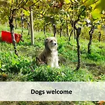 Holiday home Glamping Paradise Skatlar Otocec