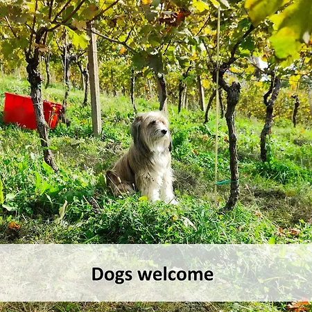 Dom wakacyjny Glamping Paradise Skatlar Otočec