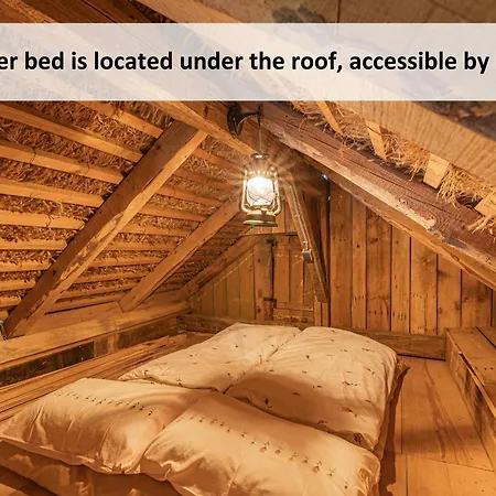 Glamping Paradise Skatlar