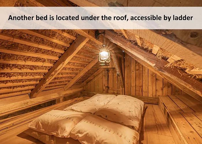 Glamping Paradise Skatlar